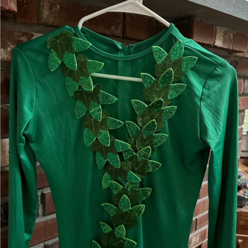 Poison Ivy Costume - Picture 4 of 5